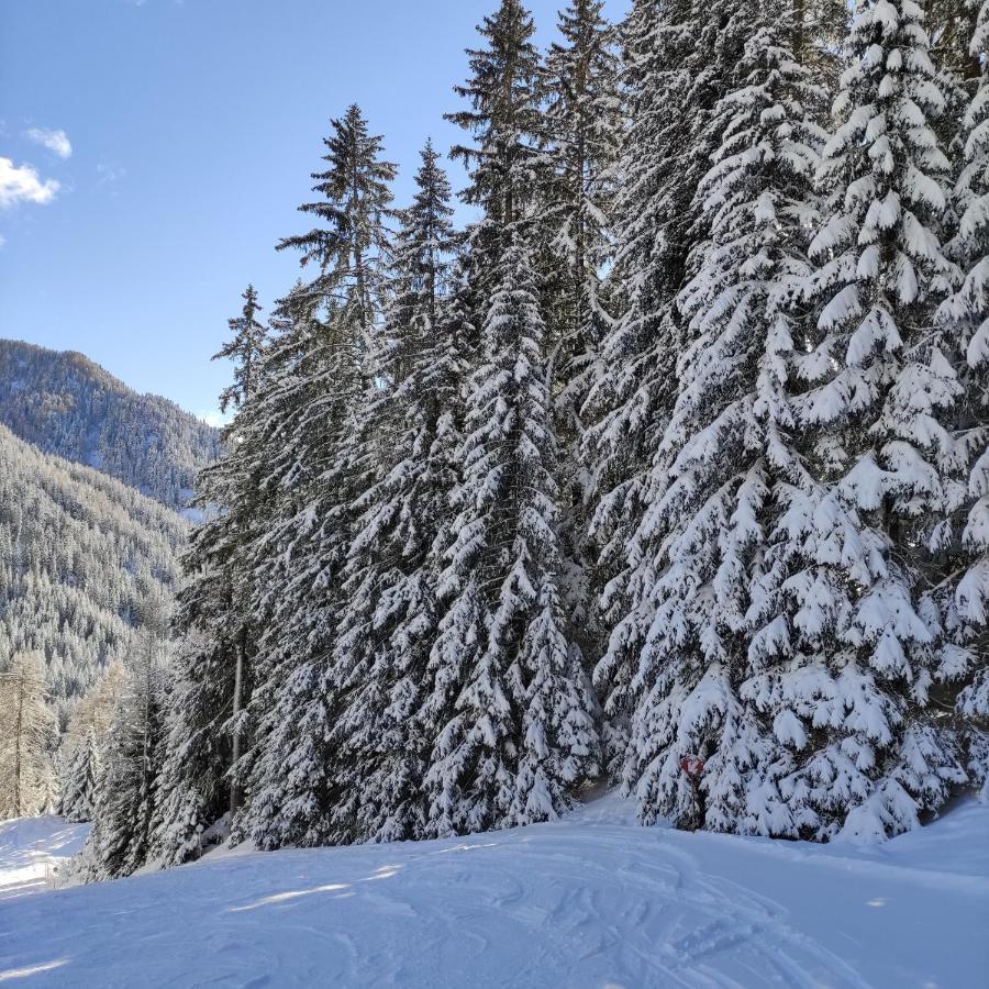 Villa Kofler Wonderland Resort Campitello di Fassa Εξωτερικό φωτογραφία