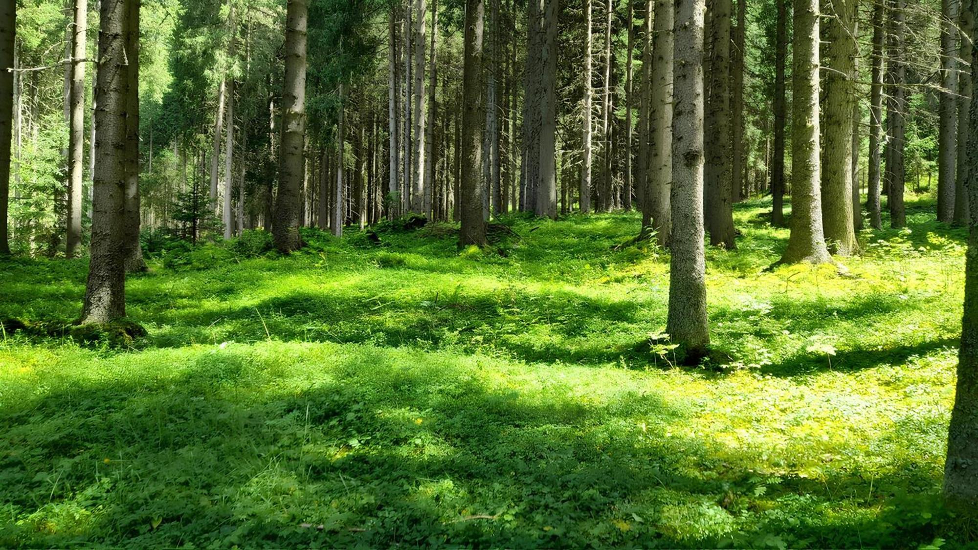 Villa Kofler Wonderland Resort Campitello di Fassa Εξωτερικό φωτογραφία